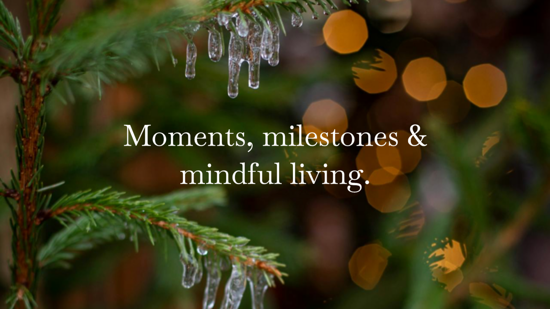 December News 2025 - Edition 031