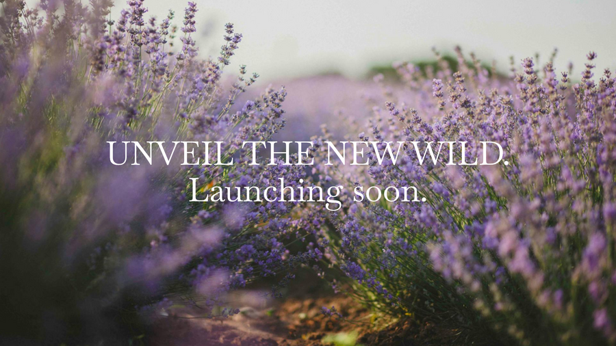 August 2025 - Edition 027