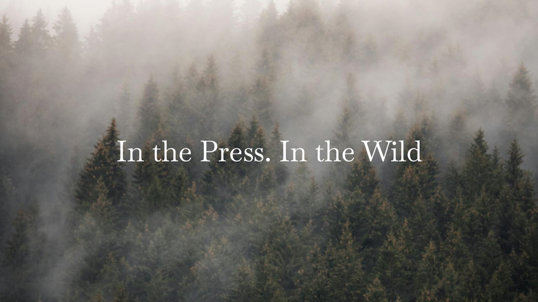 November News 2025 - Edition 030