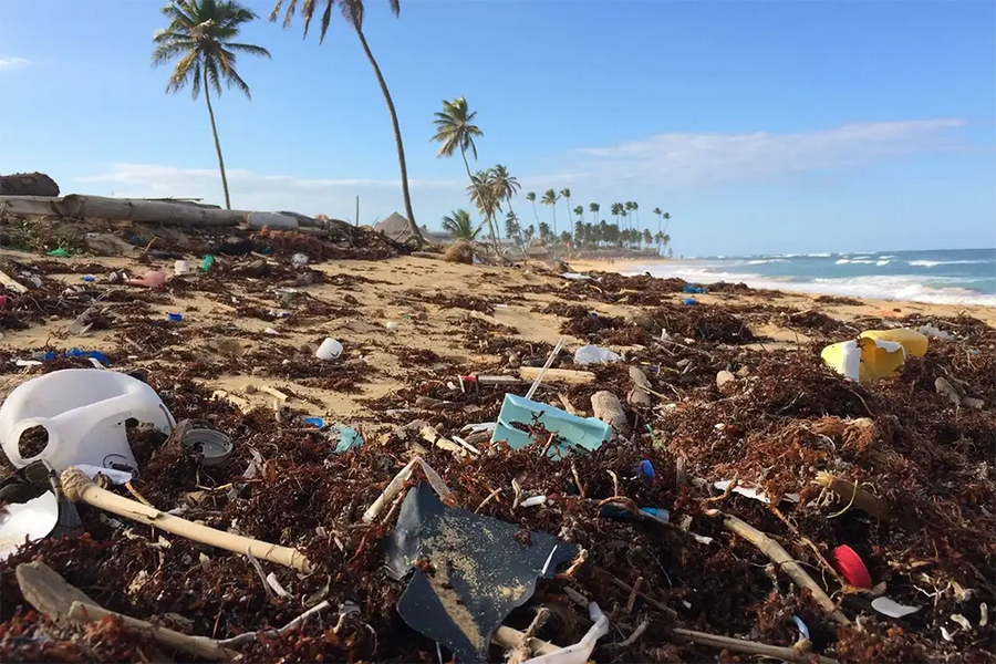About Environmentally Conscious Brands and What To Look Out For