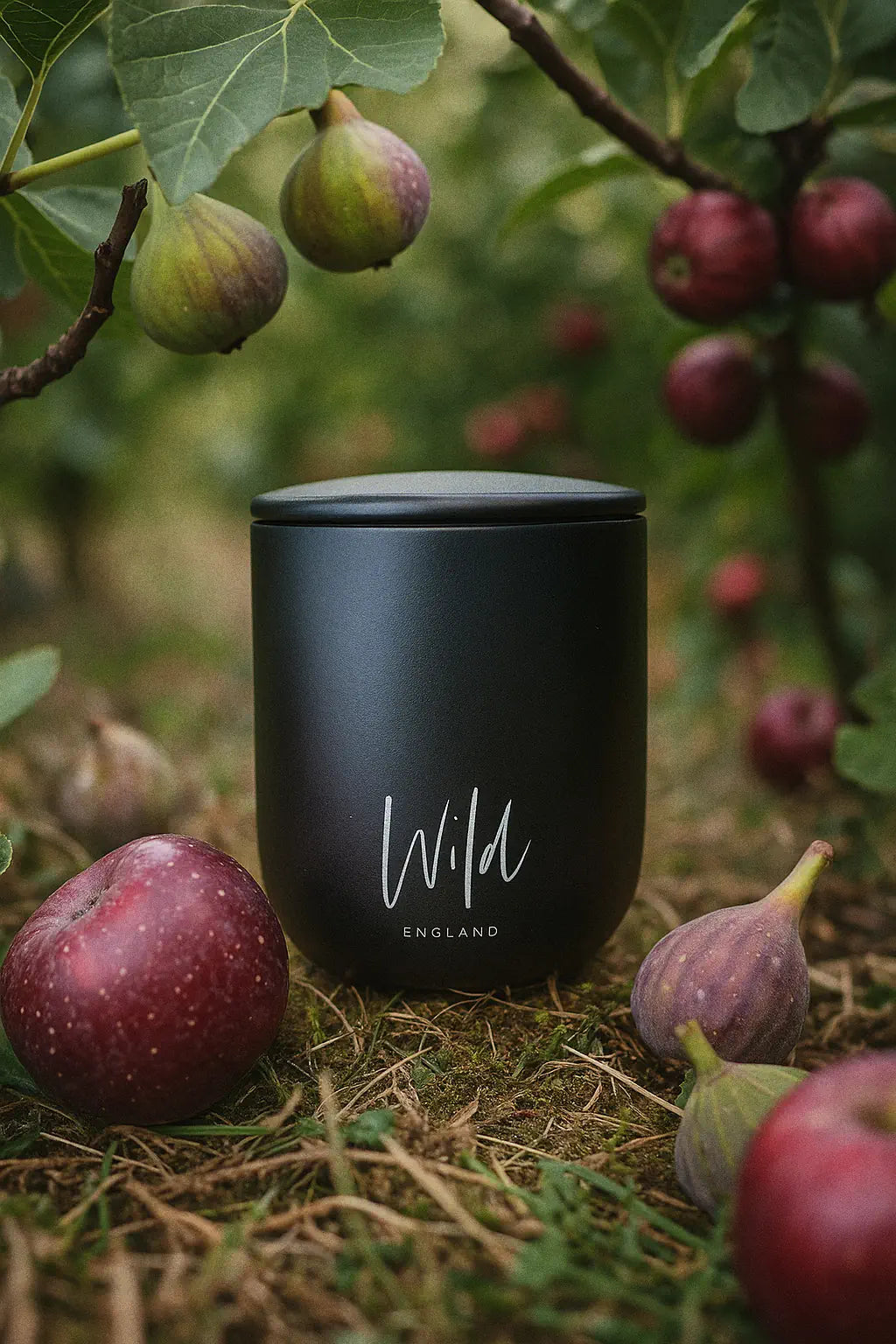 Black Fig and Vetiver Limited Edition Candle sat amongst fig trees with figs on the ground