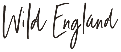 Wild England logo